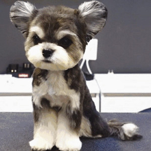 1024手机看片网站
